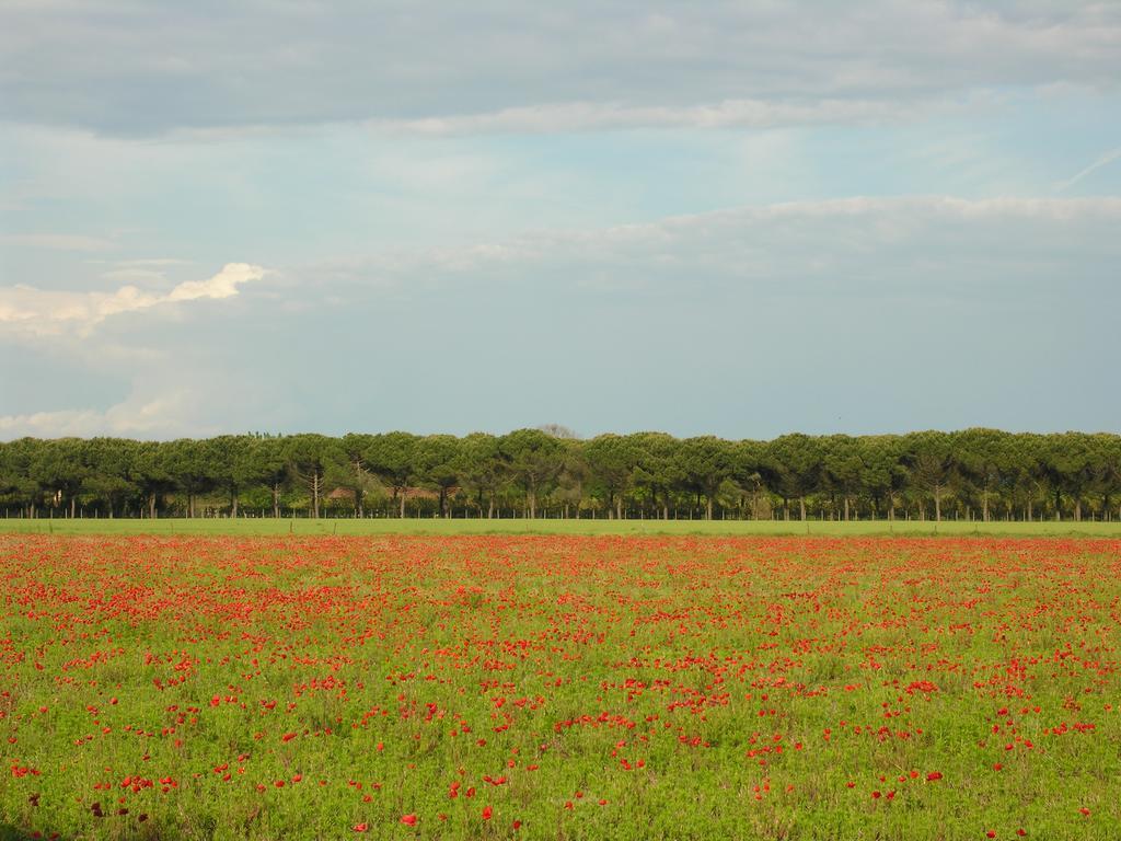 Torino * Bibione